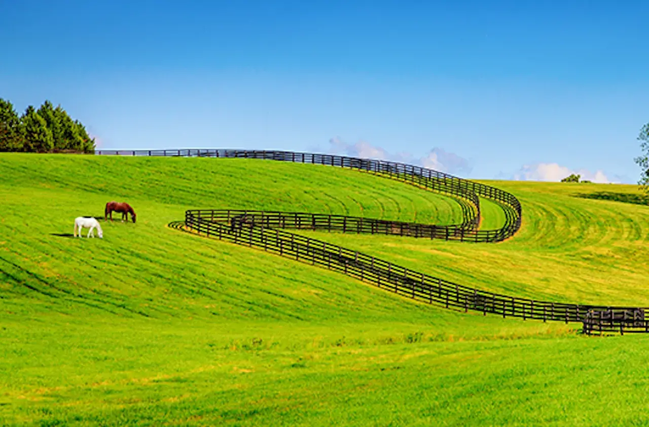 Cleaning and Restoration Services in Louisville, KY COIT